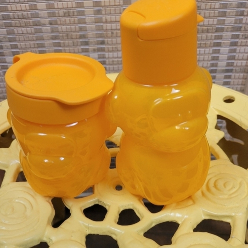 Tupperware Eco Kids Water Bottle and Snack Container